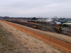 平成27年3月3日撮影