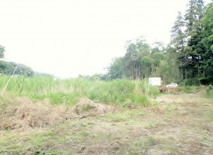 野田市谷津開発（農地転用）工事 盛土場着工前