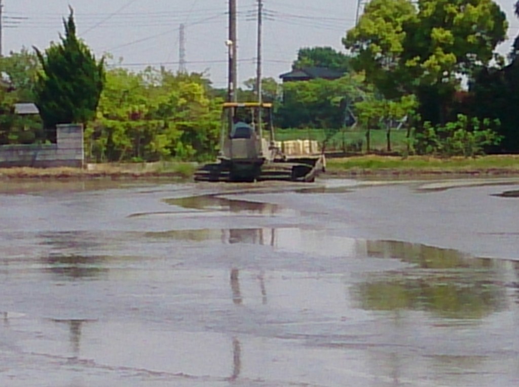 代掻き